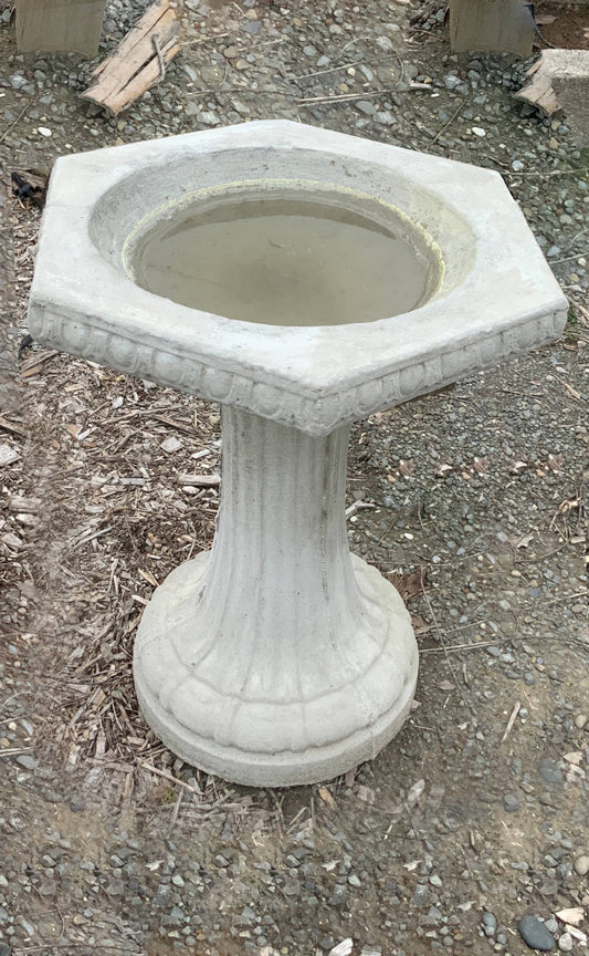 Bird Bath 8